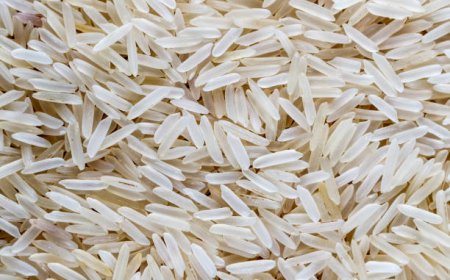 Premium 1121 Sella Basmati Rice for Superior Grain Quality