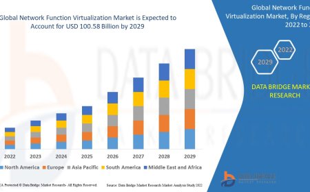 Network Function Virtualization Market Size, Current Status, and Outlook 2029
