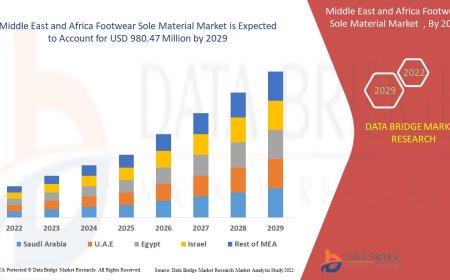 Middle East and Africa Footwear sole materials Market: Insights, Key Players, and Growth Analysis 2024 –2031