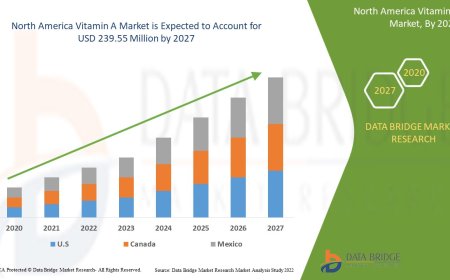 North America Vitamin A Market: Insights, Key Players, and Growth Analysis 2024 –2031