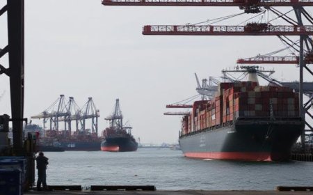 Trusted Sea Freight Companies in Dubai for International Cargo Handling