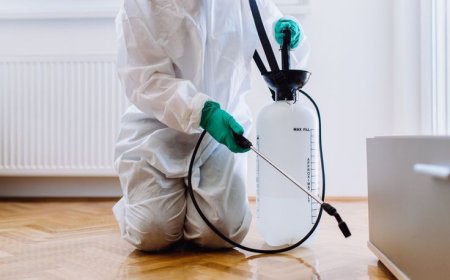 Pest Control Services: Protect Your Home and Health with Expert Help