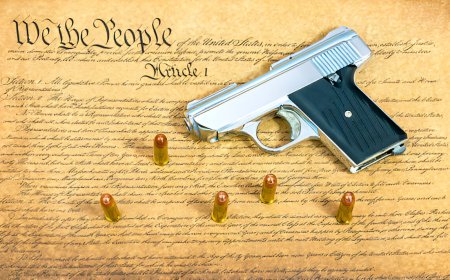 John Enos Warns That the Second Amendment Protects Against Tyranny