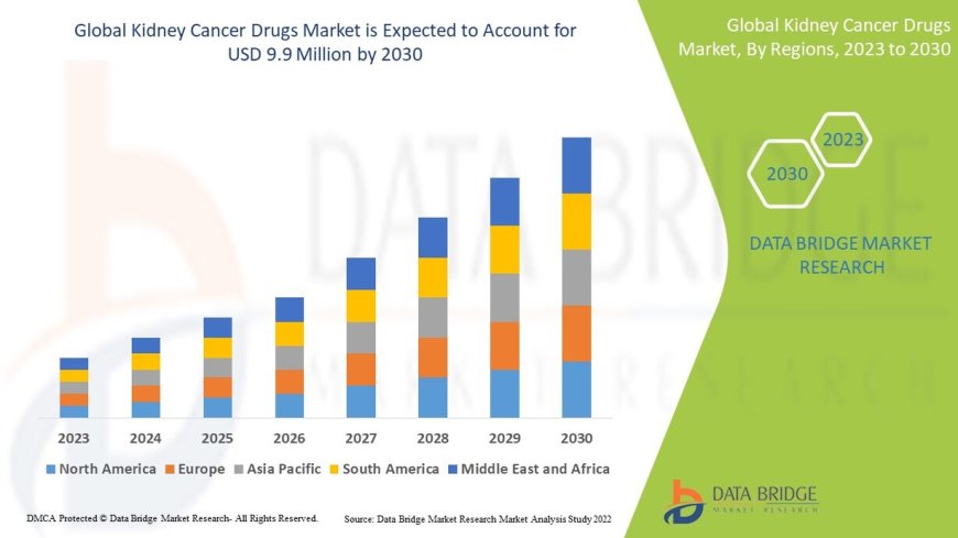Global Kidney Cancer Drugs Market Demand: Growth, Share, Value, Size, and Insights