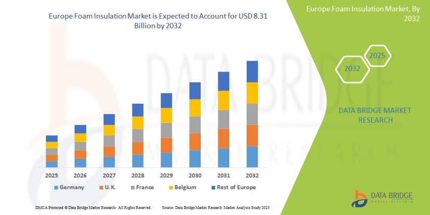 Europe Foam Insulation Market: Insights, Key Players, and Growth Analysis 2025 –2032