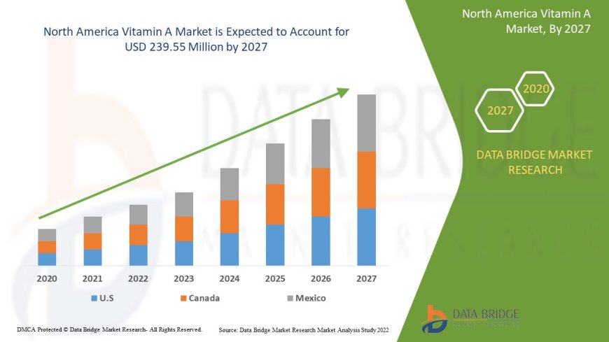 North America Vitamin A Market: Insights, Key Players, and Growth Analysis 2024 –2031