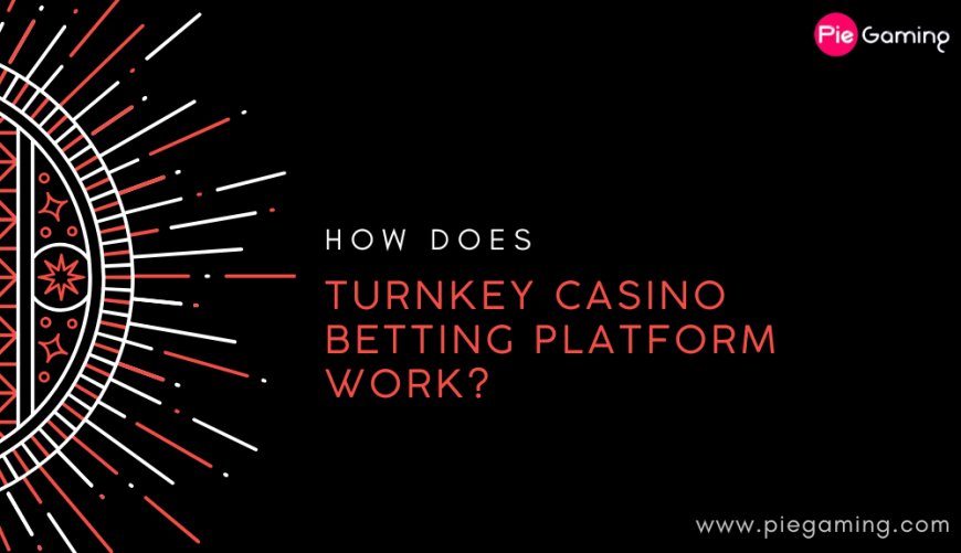 How Does the Turnkey Casino Betting Platform Work?