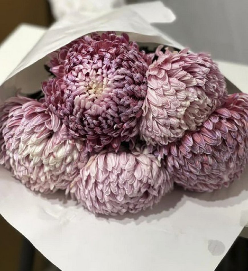 Burnley Wedding Flowers: How a Local Florist Makes All the Difference