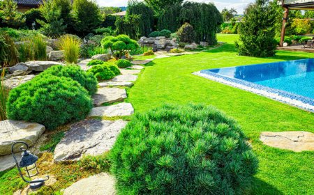 Landscape Installation Salem, UT