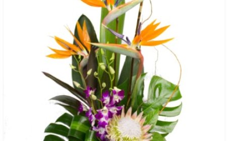 Celebrate Life’s Little Wins with Flowers from Strathmore