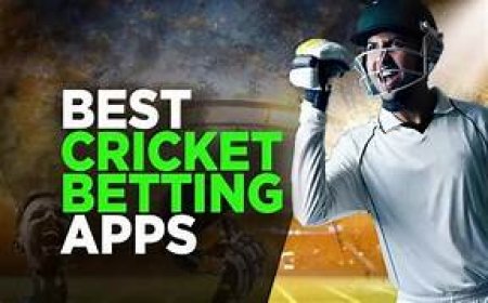 Best Cricket Betting App Experience with Khelraja
