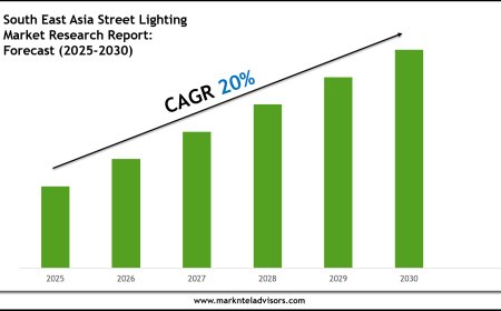 South East Asia Street Lighting Industry Trends 2030 Market Size & Growth Forecast