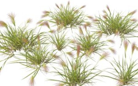 Twinmotion Plants 3D Models Free Download Pack