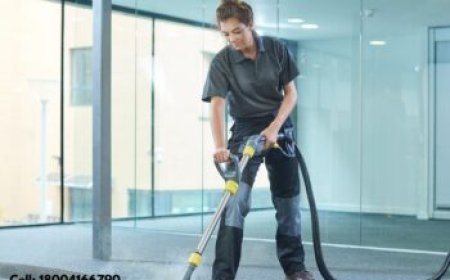 The Vital Role of Professional Carpet Cleaning in Every Home