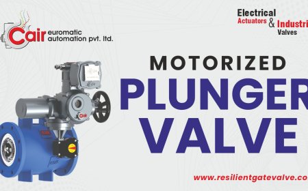 Premium Plunger Valves Made in Ahmedabad, Gujarat