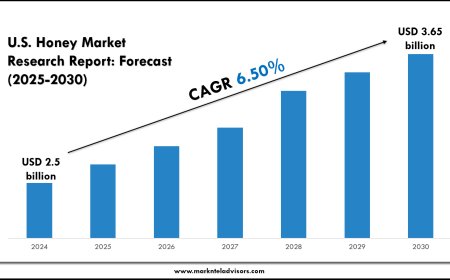 U.S. Honey Market Growth Rate & Highlights
