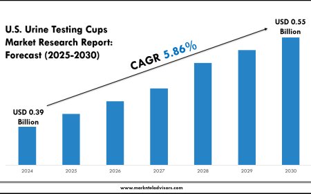 U.S. Urine Testing Cups Market Scope & Revenue Forecast