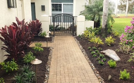 Top 5 Landscaping Trends in Bonita Springs for 2025