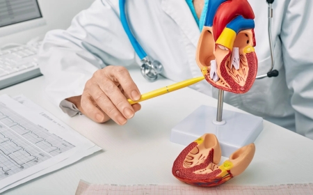 Discover Comprehensive Cardiac Care at Safe Heart: Leading Heart Clinic in Jaipur