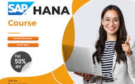 How Often Does SAP Release Updates?