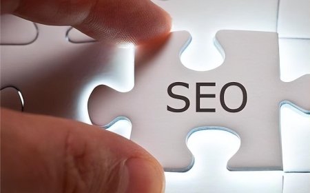 Choosing the Right SEO Package for Your Niche
