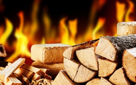 Billigaste veden 2024 – Så hittar du prisvärd och klimatsmart ved i Stockholm