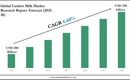 Cashew Milk Market Research 2025–2030: Demand Drivers & Projections