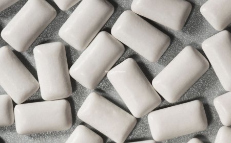 🍬 North America Sugar-Free Chewing Gum Market Set to Reach US$ 3.55 Billion by 2033 – Rising Health Awareness Fuels Demand