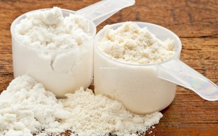 Europe Whey Protein Ingredients Market to Surpass USD  Billion by 2033, Fueled by Fitness Trends and Nutritional Awareness