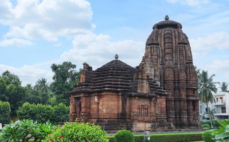 Explore Culture and Nature with the Best Odisha Tour Packages