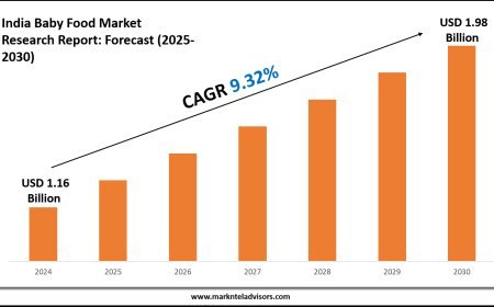 2025–2030 India Baby Food Market Snapshot: Growth, Value & Forecast