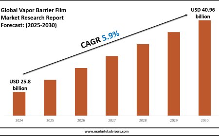 Vapor Barrier Film Industry Trends & Forecast: Market Outlook to 2030