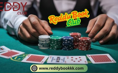 Discover The Strategic World Of Online Poker And Master The Digital Table