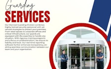 Why Security Surveillance Cameras Are Essential for Modern Businesses