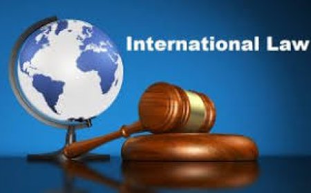 Top Advantages of a US Customs Lawyer & International Trade Lawyer