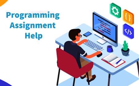UK Assignment Writer Tips for Handling Java and C++ Programming Projects