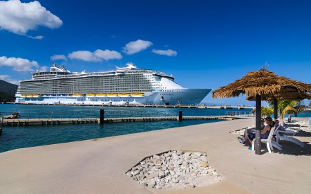 Guide to the MSC Cruise Cancellation Policy