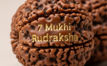 Divine Prosperity with 7 Mukhi Rudraksha