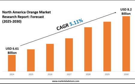 North America Orange Market Size and Growth Expected to Reach USD 8.2 Billion by 2030
