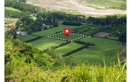 Rural vs. Suburban: What Type of Texas Land for Sale Fits Your Goals?