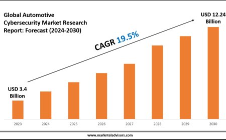 Exploring Automotive Cybersecurity Market Trends: Growth Outlook to 2030