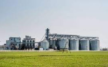 Setting up a Potato Starch Manufacturing Plant: Detailed Report and Cost Breakdown