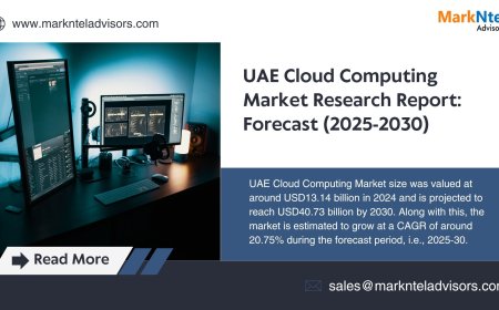 UAE Cloud Computing Market Forecast with Charts and Key Data 2030