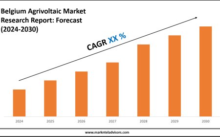Belgium Agrivoltaic Market Companies, Share and Outlook Report 2030