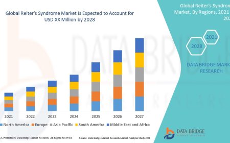 Reiter’s Syndrome Market Size, Status and Industry Outlook During 2028