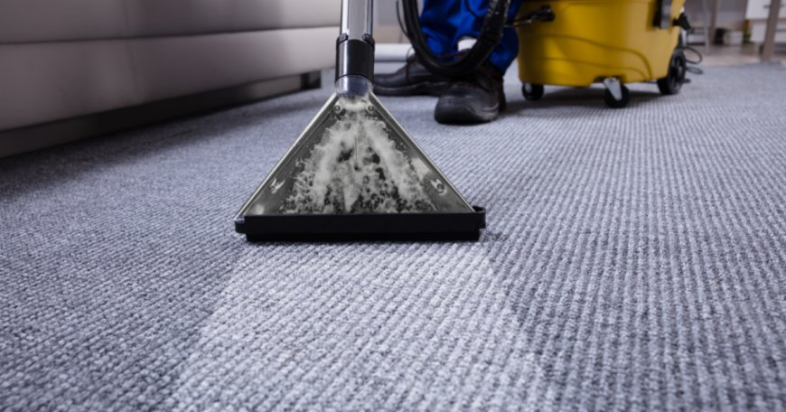 Carpet Cleaning Companies Denver, CO