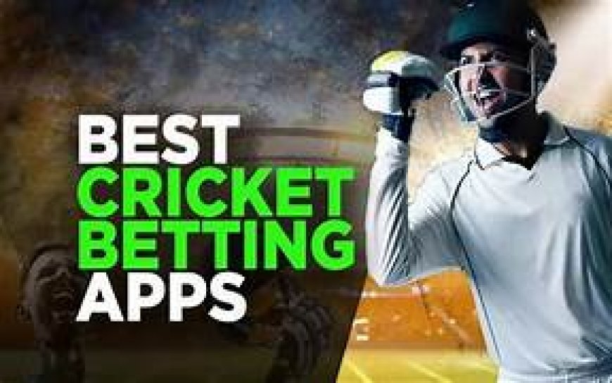 Best Cricket Betting App Experience with Khelraja