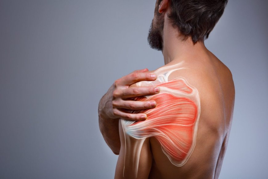 Shoulder Pain Treatment Dubai: Posture, Prevention, and Rehabilitation