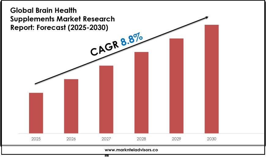 Brain Health Supplements Industry Trends & Forecast: Market Outlook to 2030
